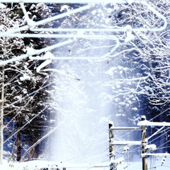 雪柱