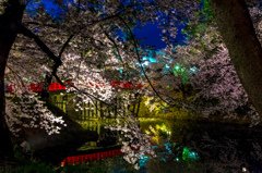 日暮れの杉の大橋 日暮れの杉の大橋