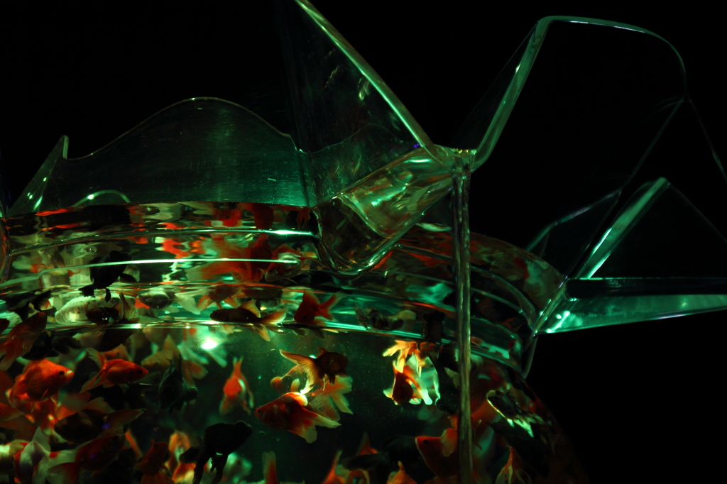 アートアクアリウム2012