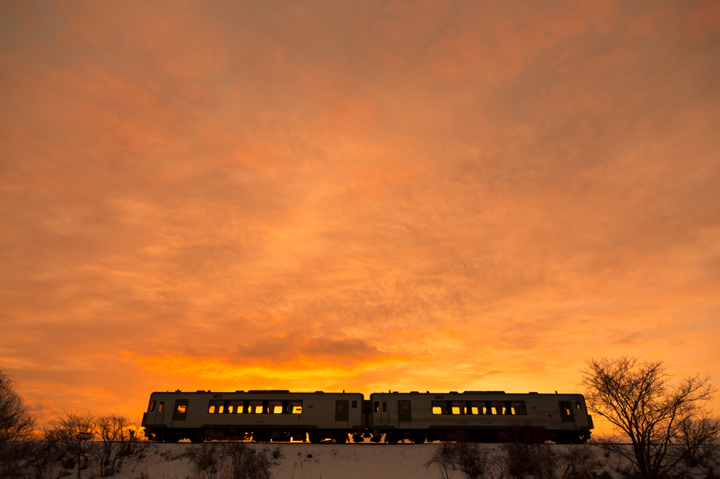 Morning glow train XVIII