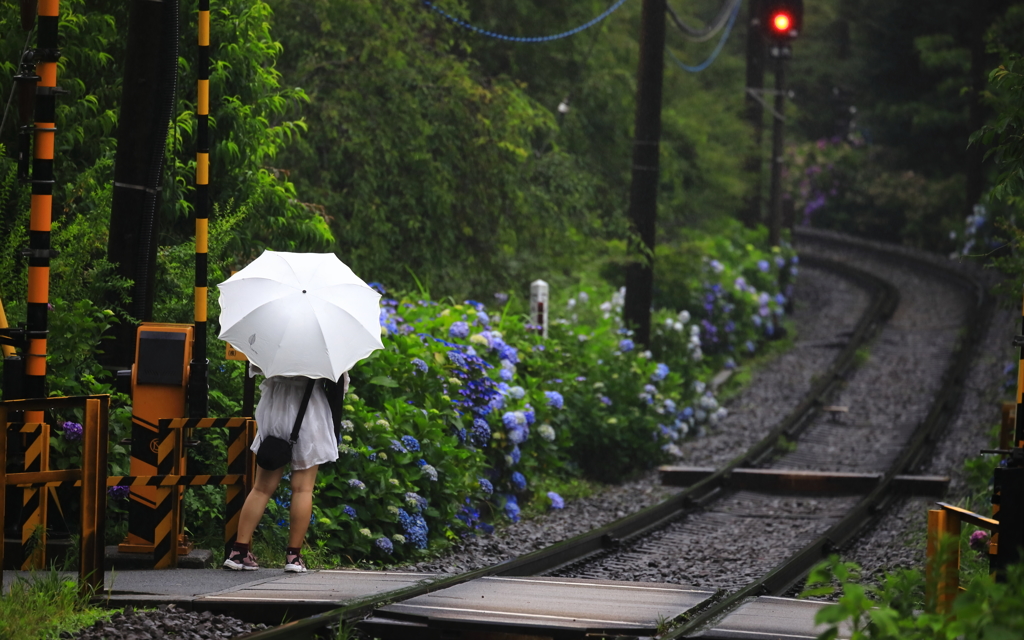 雨の箱根路 I