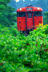 夏の鉄道風景 X