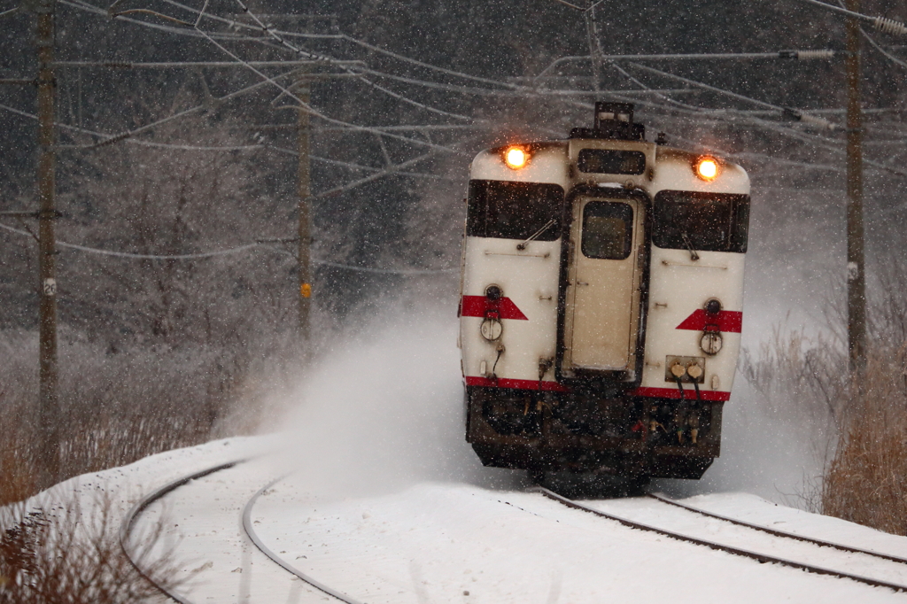 Snowfield Train I