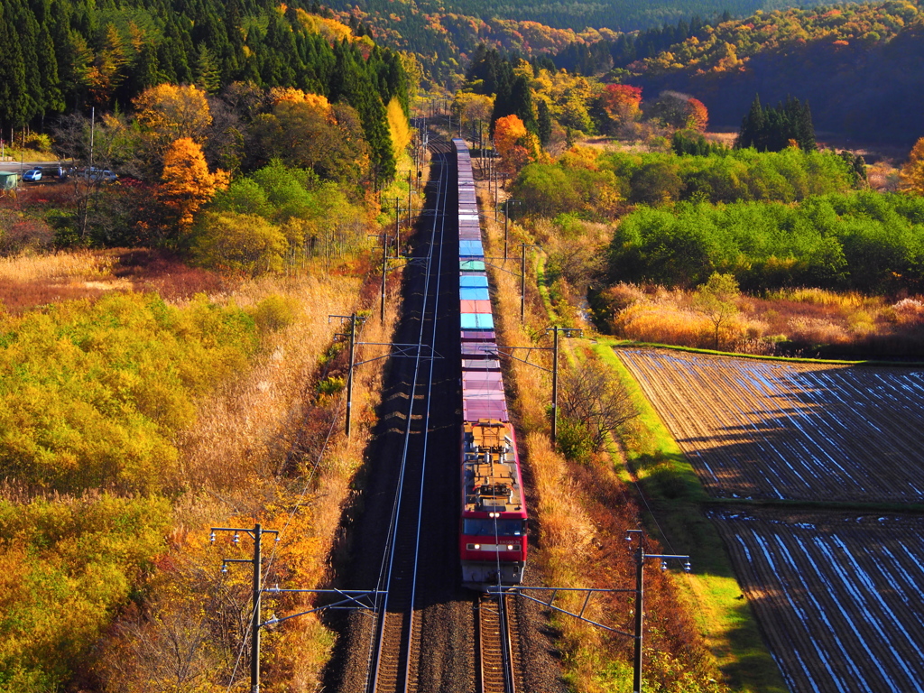 色彩電車 IV