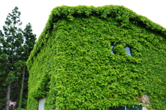 パラサイトな小屋