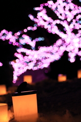 弘前市・雪燈籠祭り