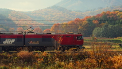 色彩電車 IX
