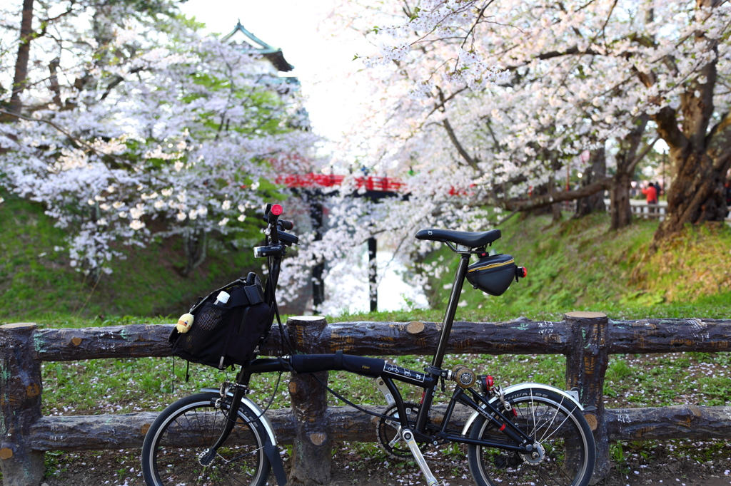 愛車も花見