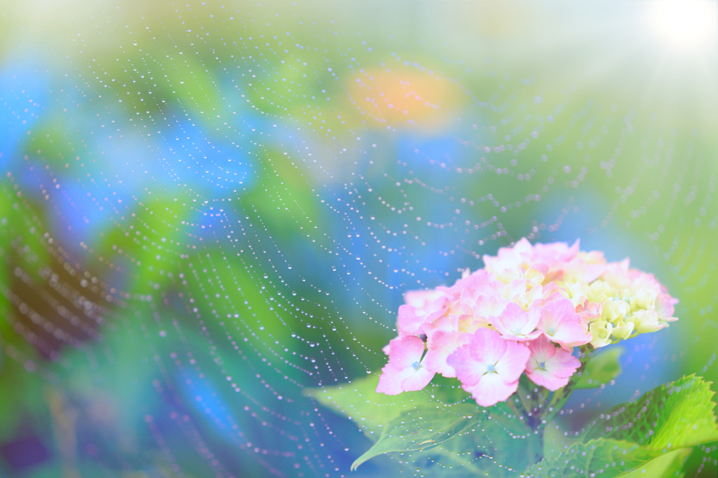 梅雨明け祈願