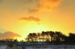 Morning glow train XIII