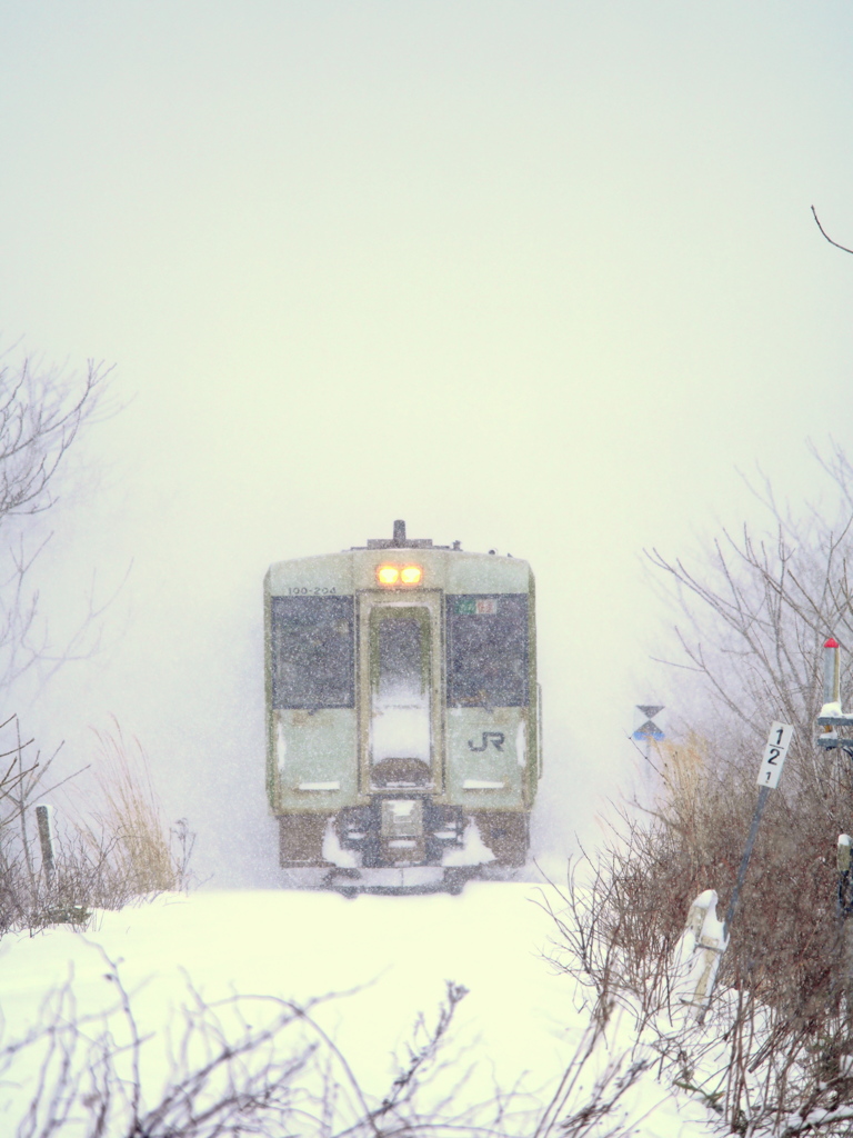 豪雪列車 II