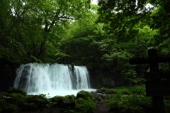 新緑の銚子大滝