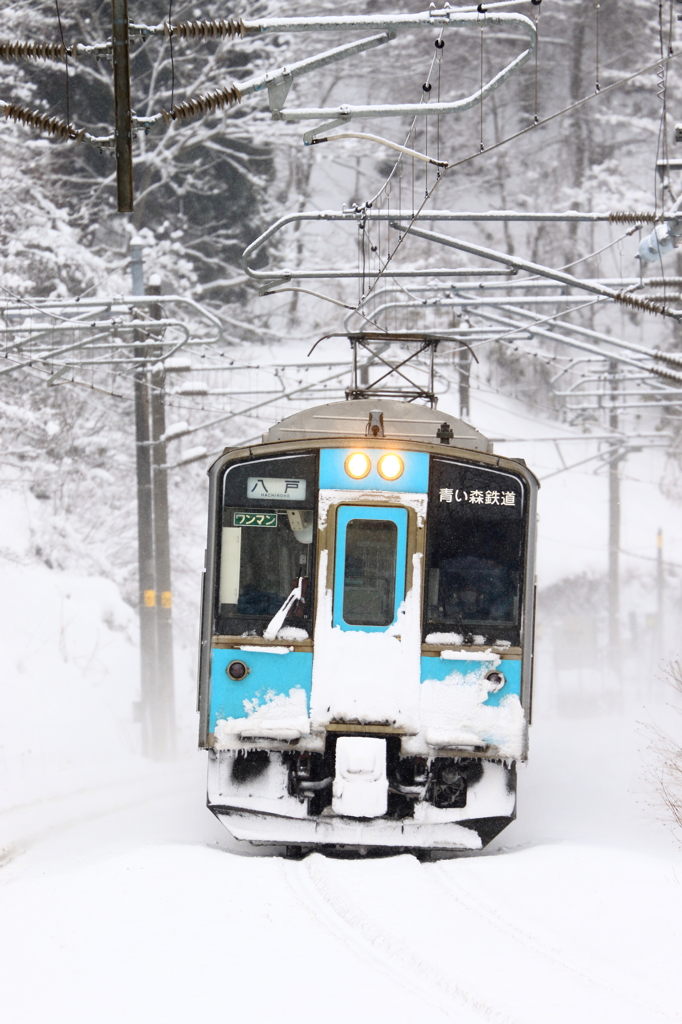 雪そして・・・V