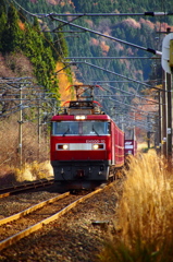晩秋列車 VI