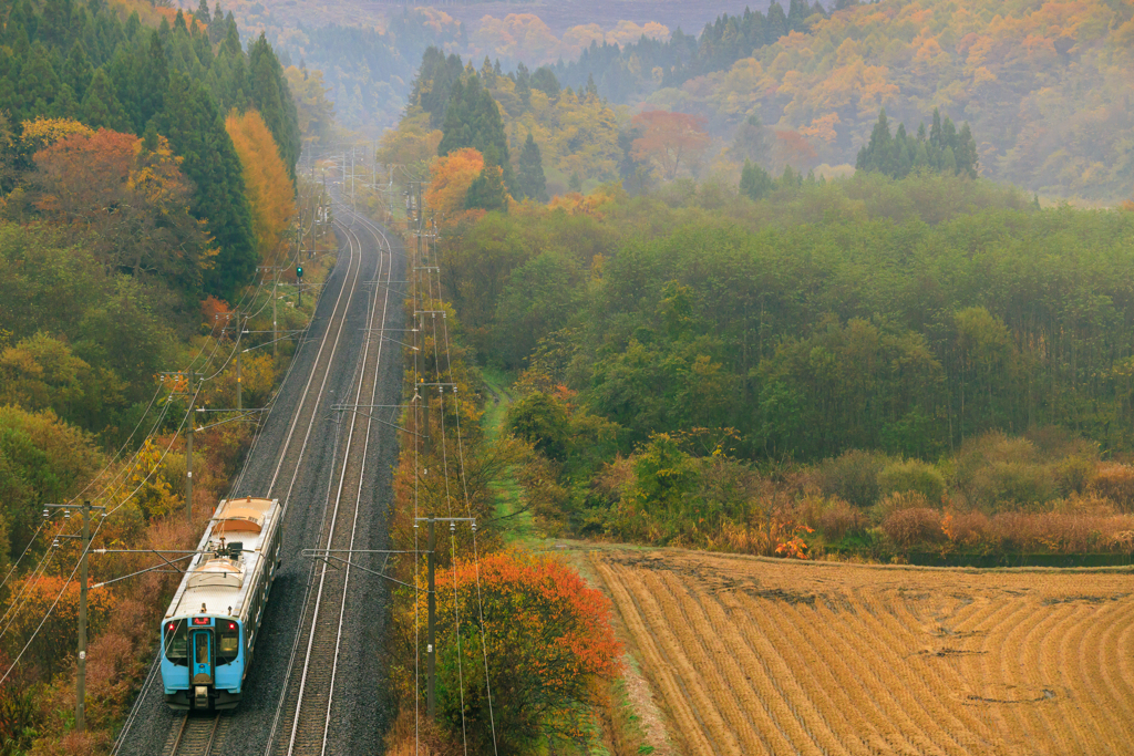 朝霧の中の紅葉へ