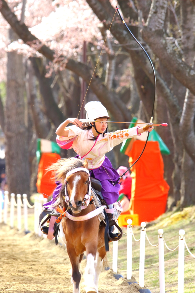 桜流鏑馬 II