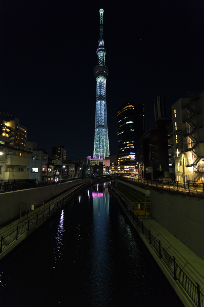 春のツリー VII