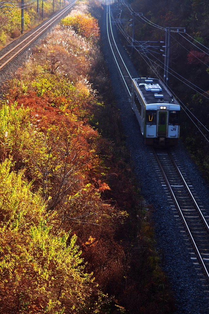 晩秋列車 IX