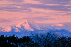 茜の山