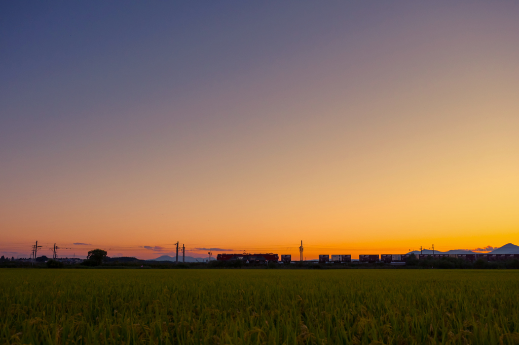 秋の夕焼け II