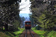 来年こそは・・・