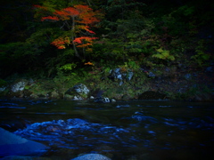 薬研渓流の秋 IV