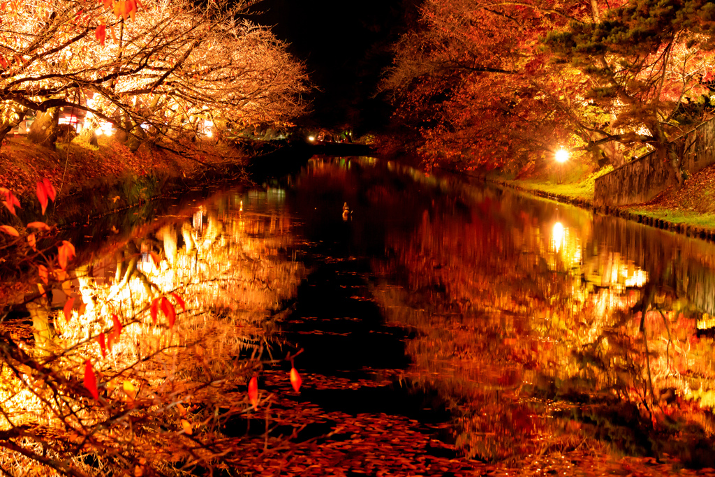 弘前公園の秋 I