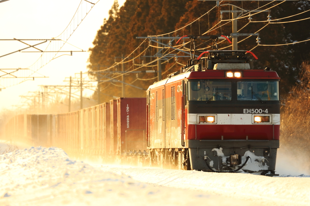 黄金色の雪原 II