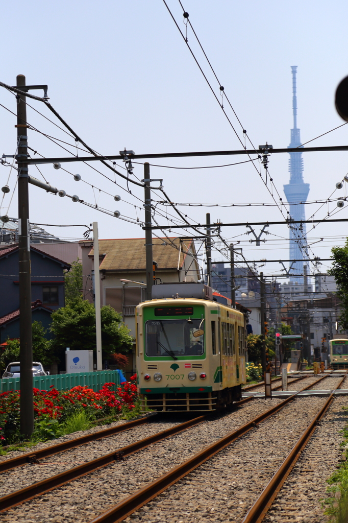 都電とスカイツリー