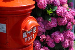 鎌倉で有名な・・・ 鎌倉で有名な・・・