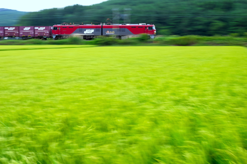 田園疾走 I