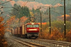 晩秋の山から