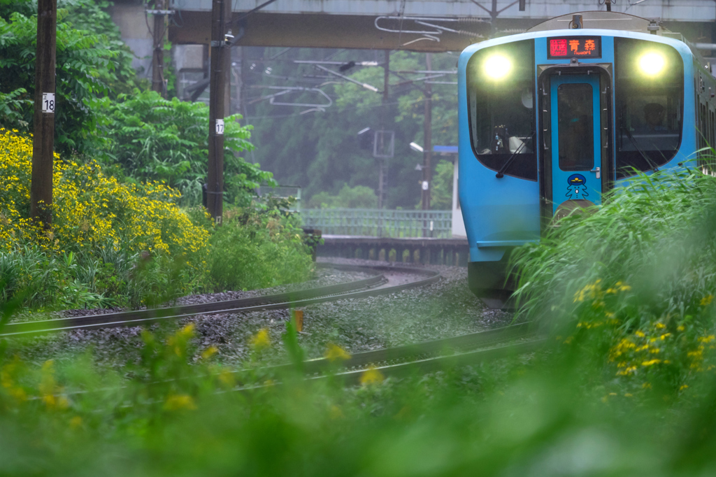 雨の休日 V