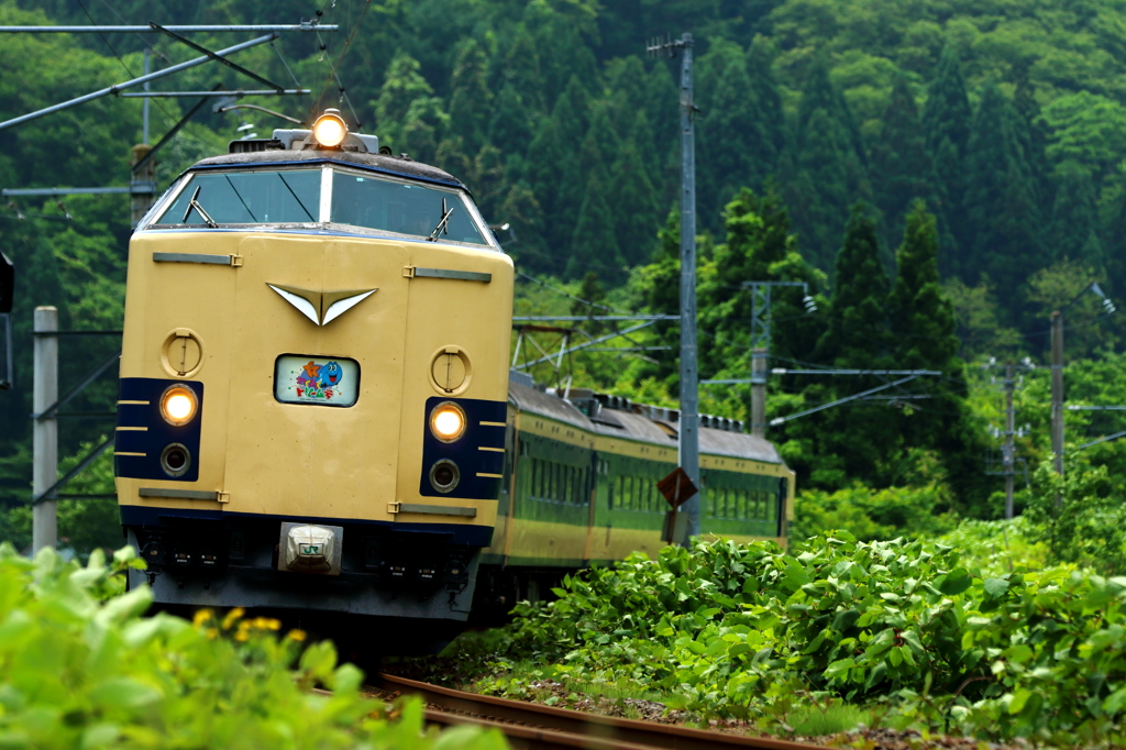 新緑の季節 583系