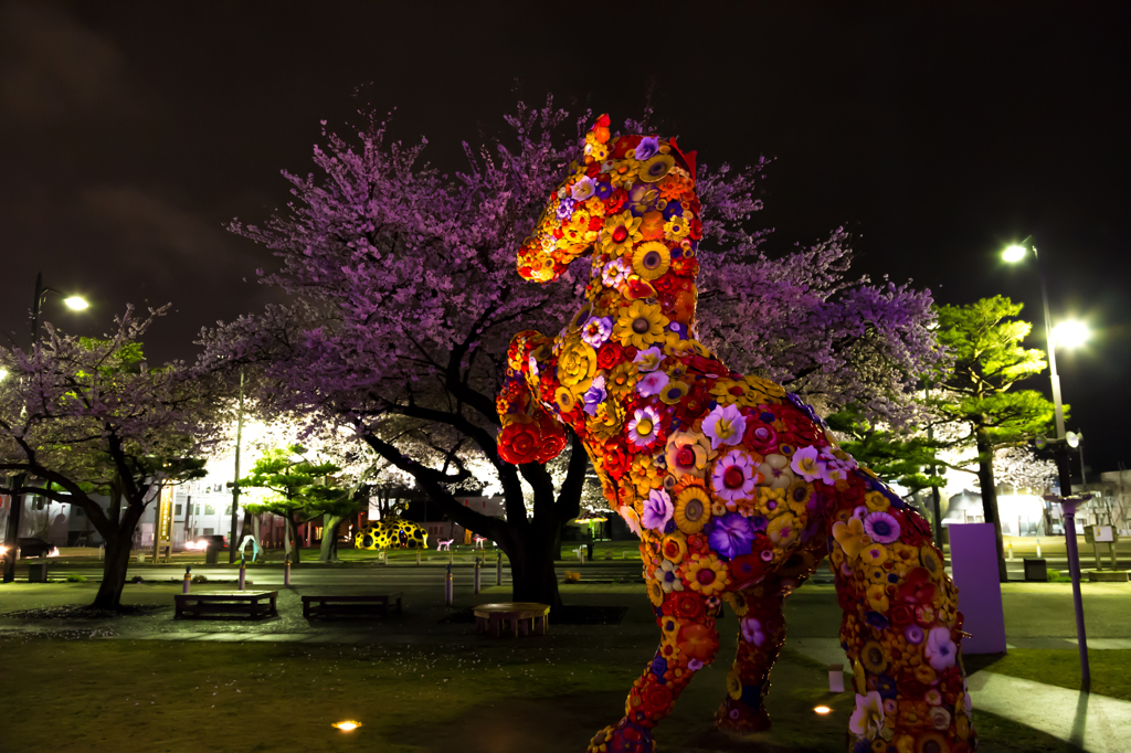 駒街道のフラワーホースも花見