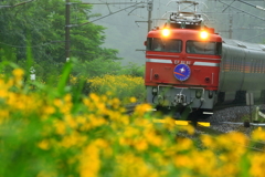 雨のお出迎え I