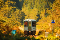 朝の斜陽