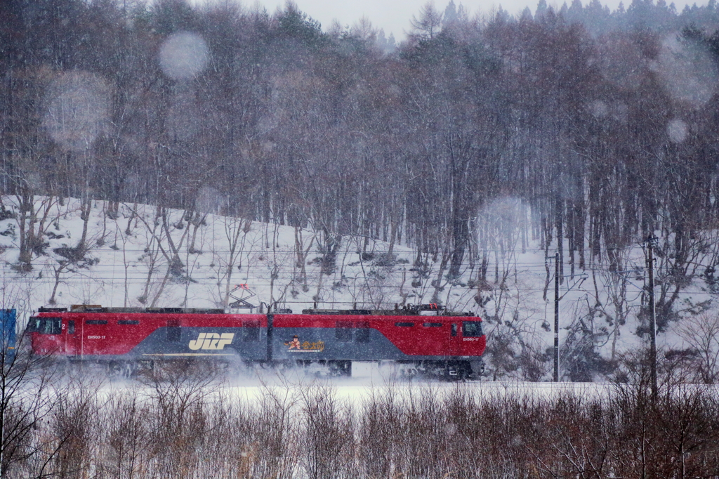 Snow blurring -Train- VI