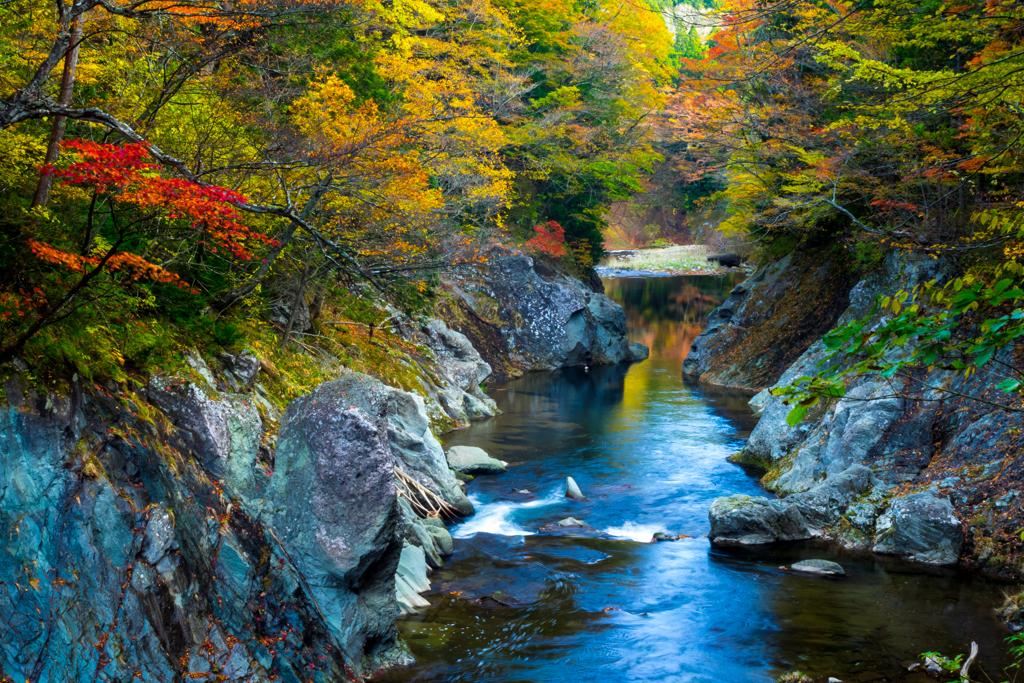 薬研の秋 2016 VI