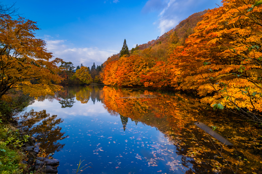 名もなき水鏡 IV