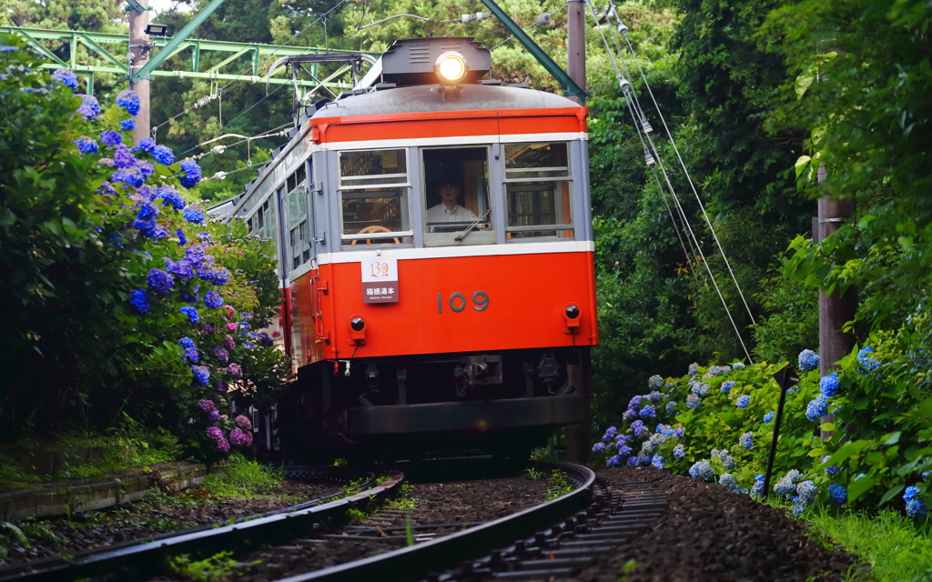 初夏の箱根 VIII