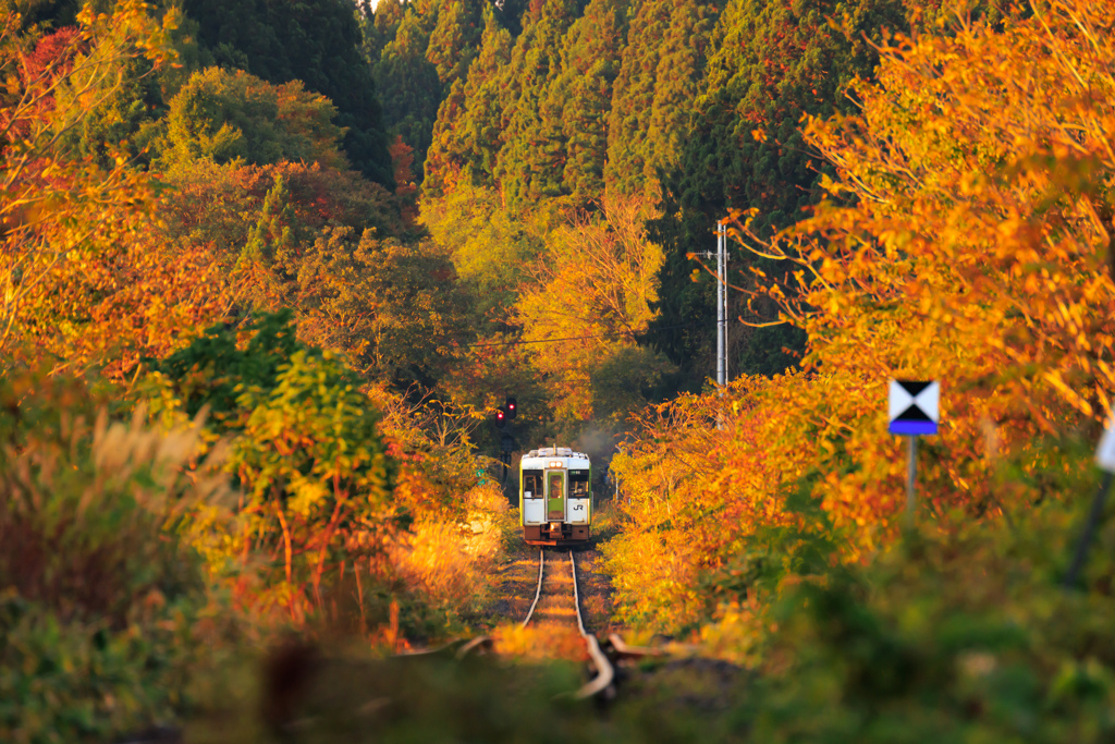 秋行き始発列車