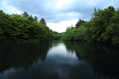 雲場池の水鏡