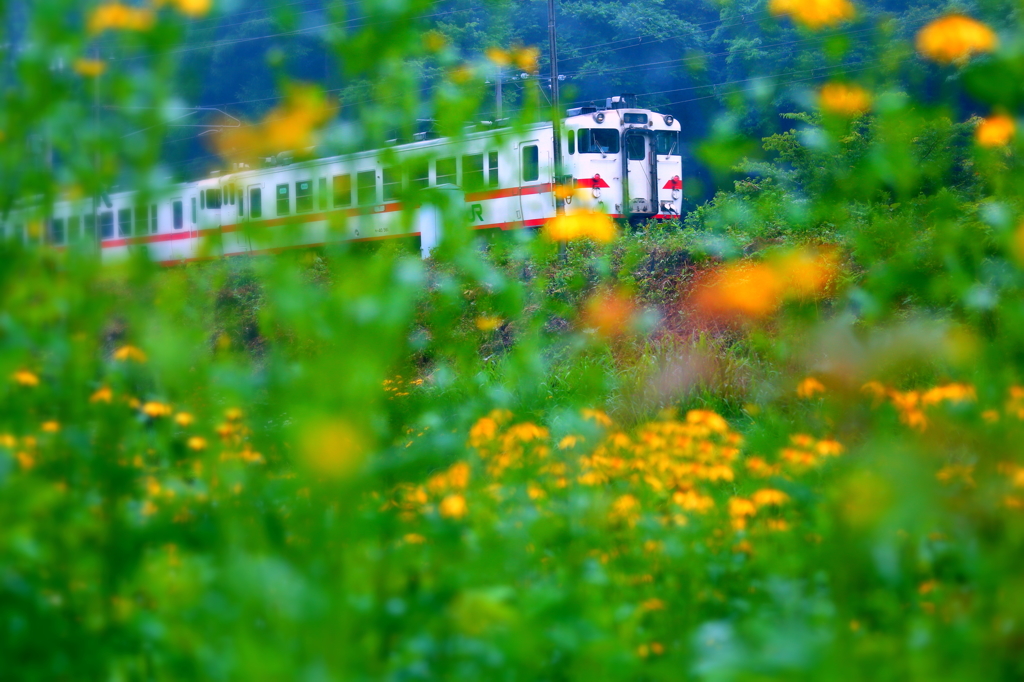 小雨の中を走る・・・