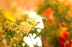 Workplace's Spring II