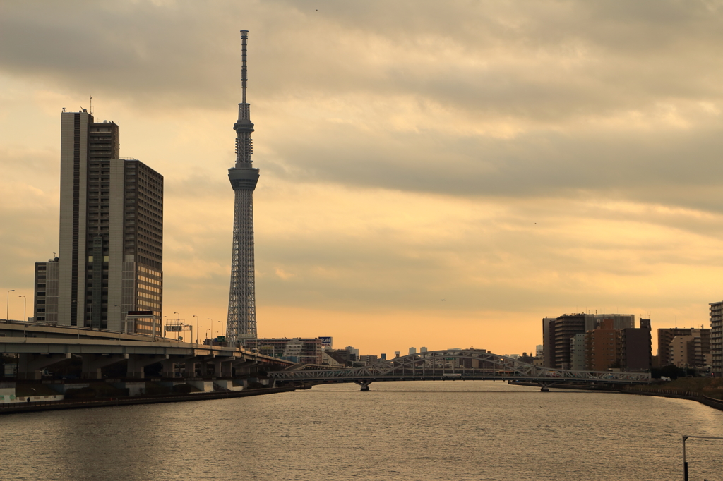 夕闇のスカイツリー