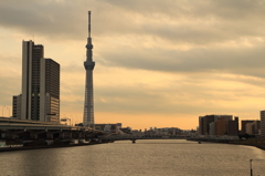 夕闇のスカイツリー