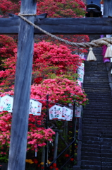 帰り路の春 IV