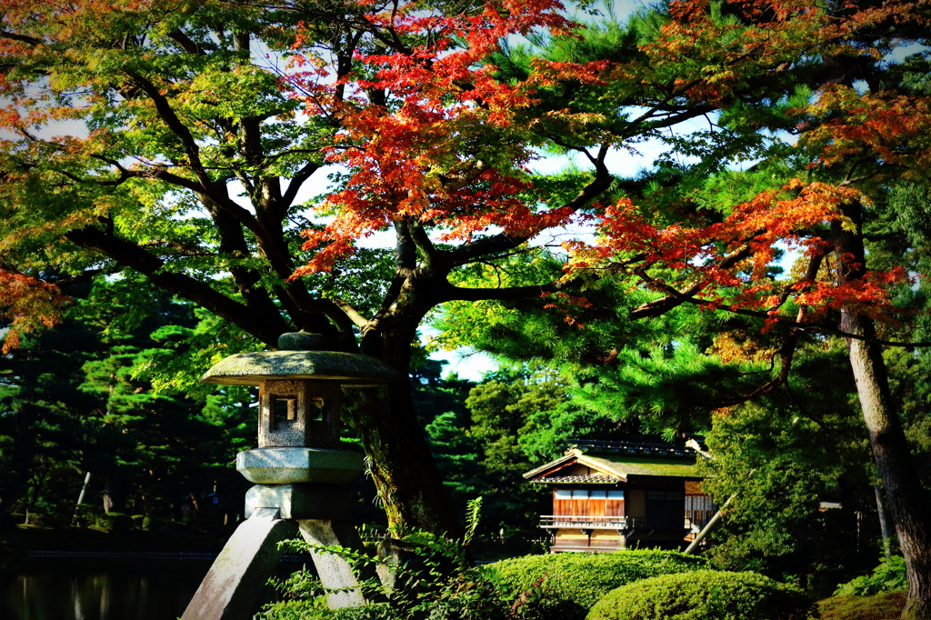 徽軫灯籠 〜兼六園〜 II