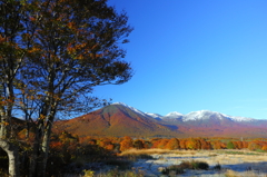 雪と紅葉と霜の八甲田山 雪と紅葉と霜の八甲田山